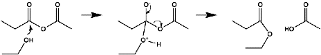 Nucleophilic attack by a hydroxyl (or water) on a carboxylic acid